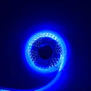 12 volt dc led strip lights